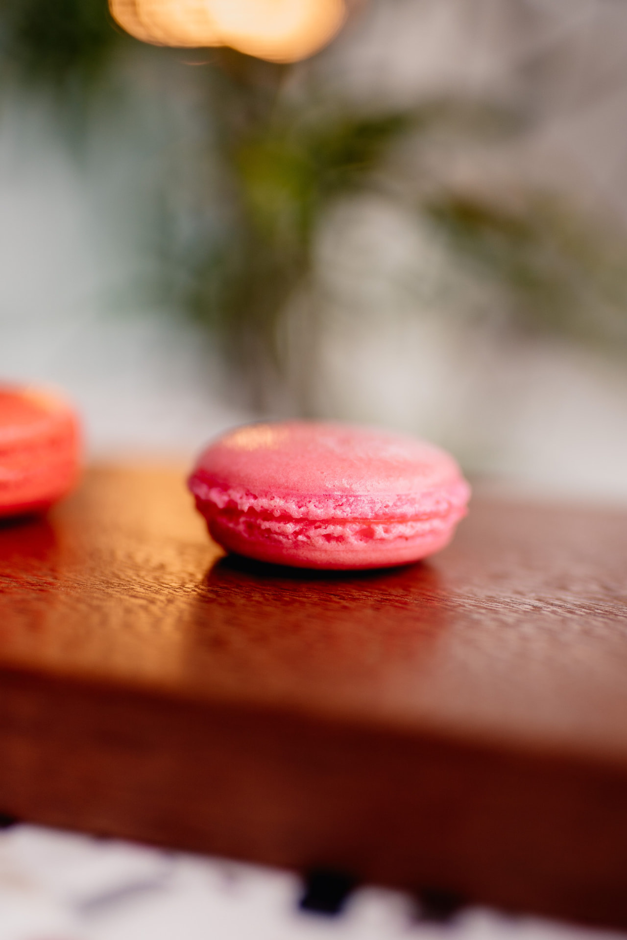 Macaron Suíço